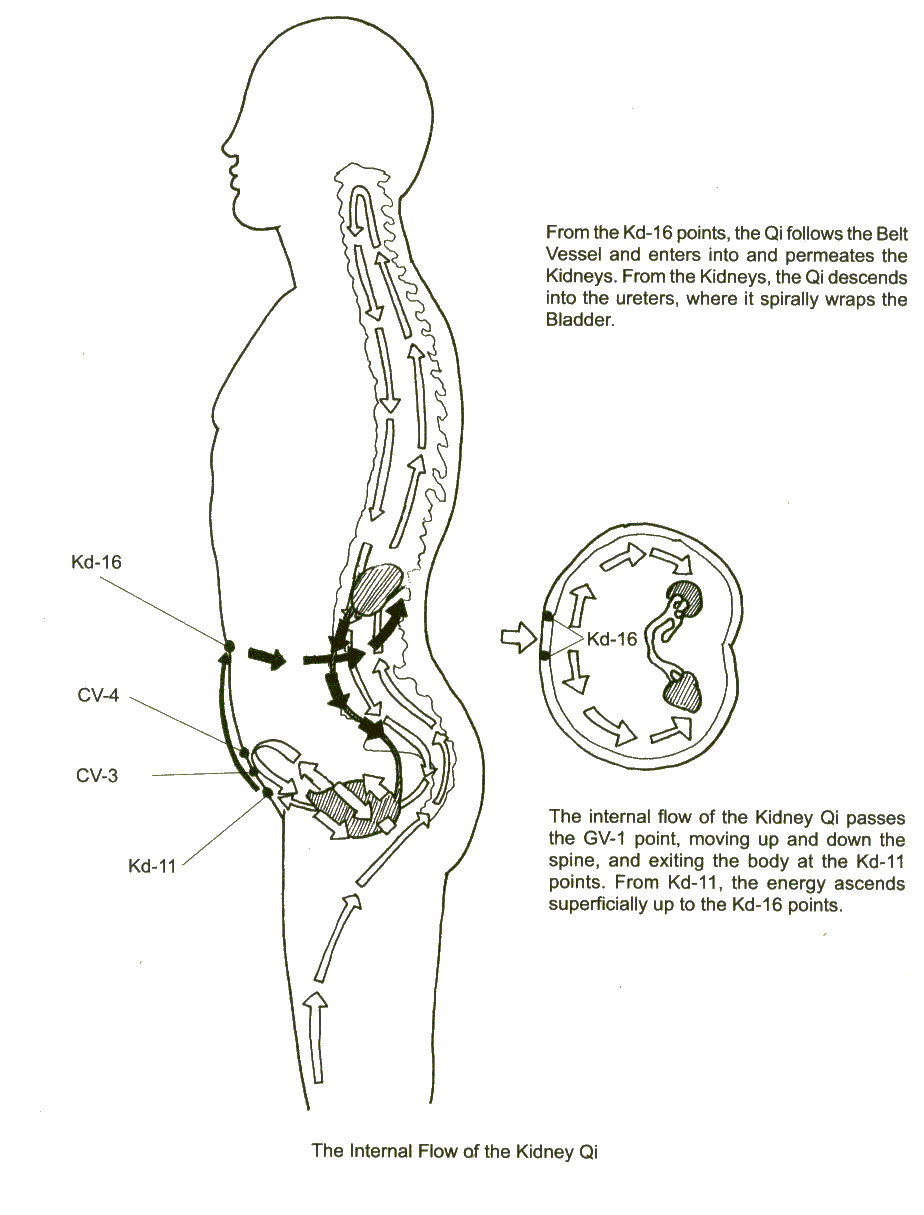 Kidney Meridian Chart